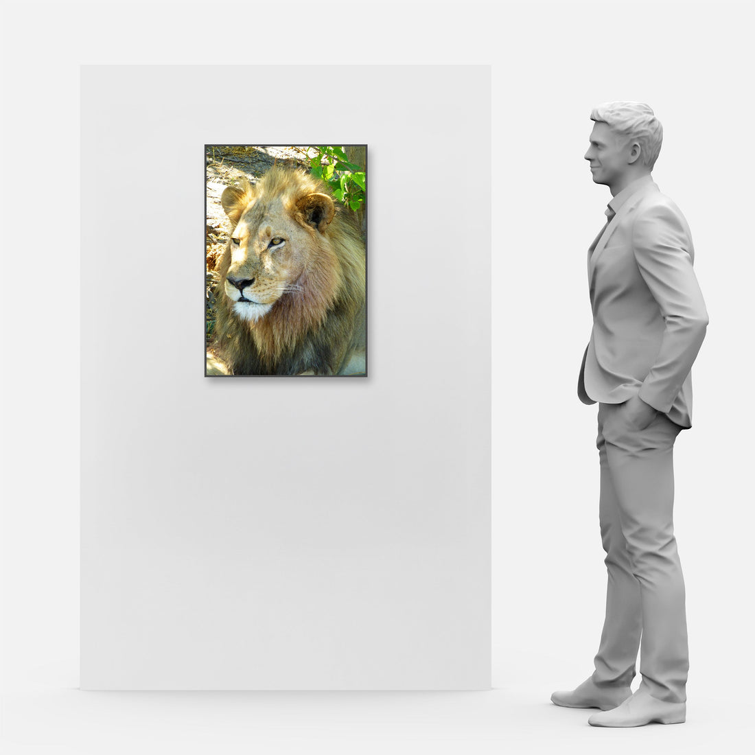 XL LED Display Lightbox for Wildlife Photography